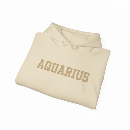 Aquarius Hoodie