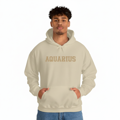 Aquarius Hoodie