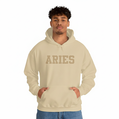 Aries Hoodie