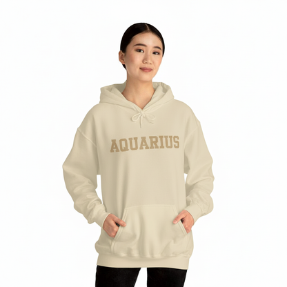 Aquarius Hoodie